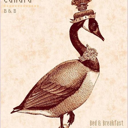 Madame Canard Baveno Exterior foto